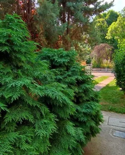 アパート Garden アランジェロヴァツ